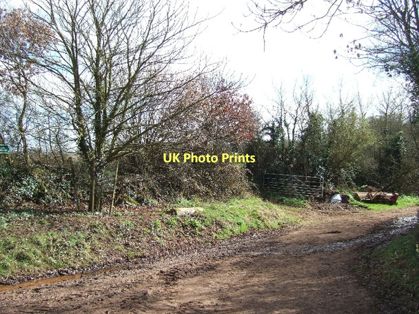 Photo 6"x4" Start of bridleway in Huxham Huxham c2011