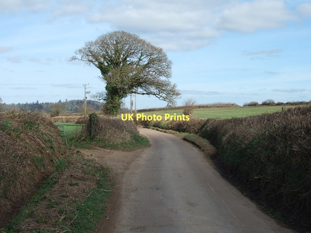 Photo 6"x4" Country road north-east of Huxham Brookleigh c2011