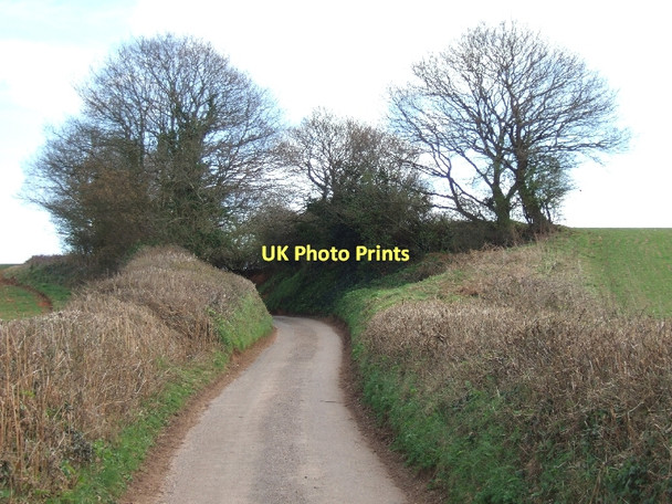 Photo 6"x4" Cutting on road near Brookleigh Brookleigh c2011