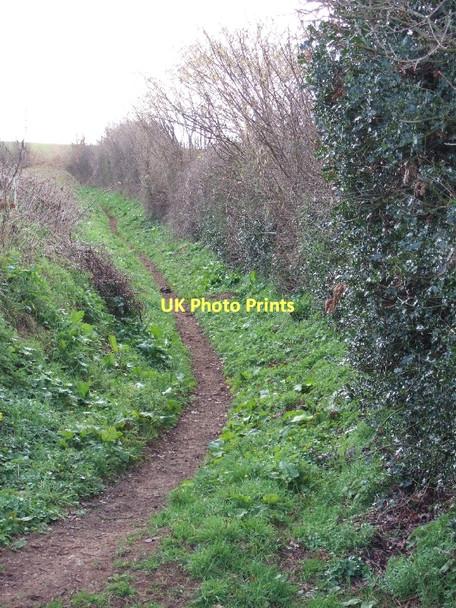 Photo 6"x4" Footpath to Ratsloe Brookleigh c2011
