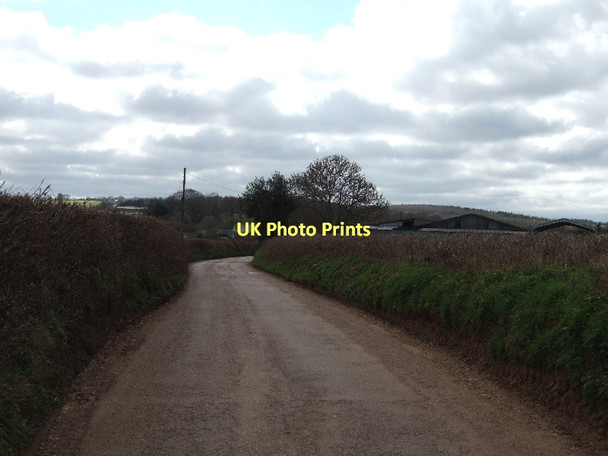 Photo 6"x4" The road to Ratsloe Poltimore c2011