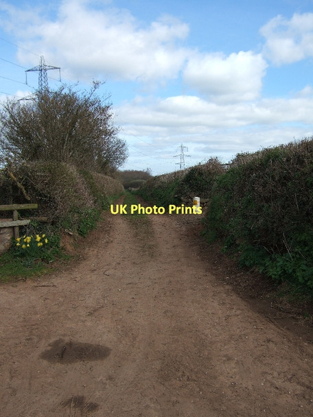 Photo 6"x4" Farm track near Bowls Cross Poltimore c2011