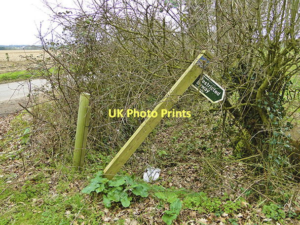 Photo 6"x4" Restricted Byway via the ditch Upper Street\/TM1780 c2011
