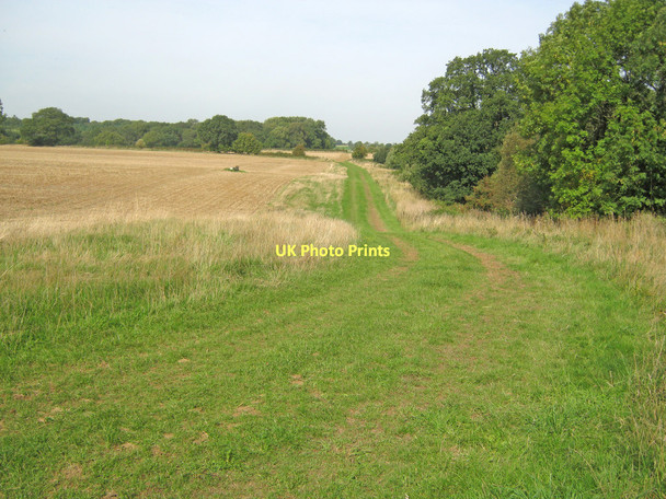 Photo 6"x4" Track on the Stowe Estate Lillingstone Dayrell c2010