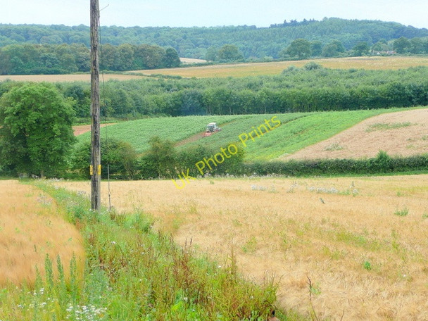 Photo 6"x4" South Herefordshire view Lyne Down c2009