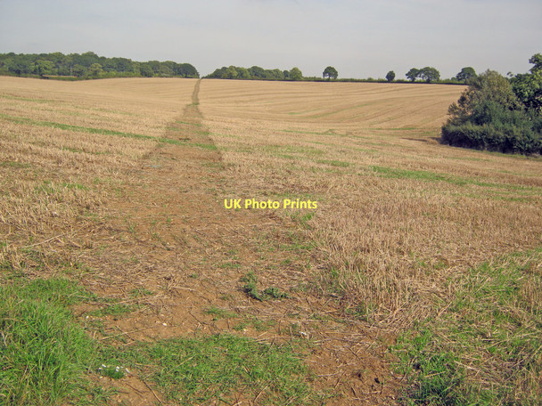 Photo 6"x4" Footpath to Stowe Woods Dadford c2010