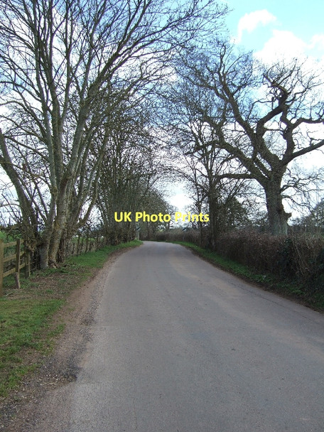 Photo 6"x4" Road south of Poltimore village Dog Village c2011