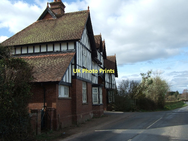 Photo 6"x4" Brockhill Lodge Dog Village c2011