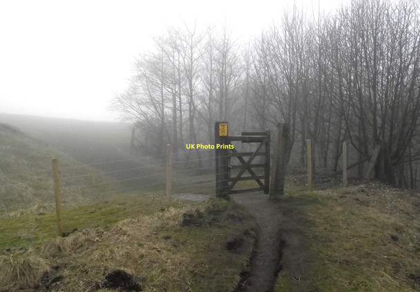 Photo 6"x4" Out of the woods Buxton\/SK0673 c2011