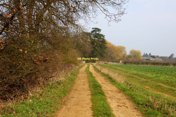 Photo 6"x4" Track to Clifton Hampden Appleford c2011