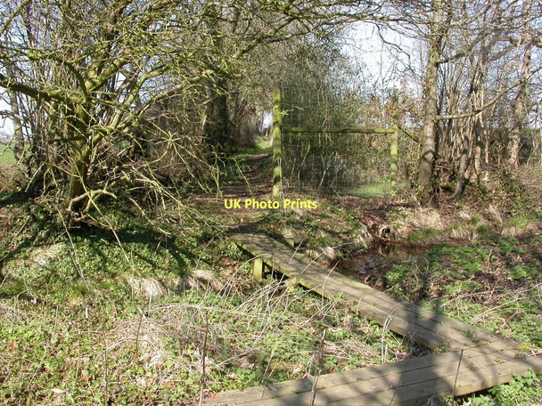 Photo 6"x4" Colehill, boardwalk Wimborne Minster c2011