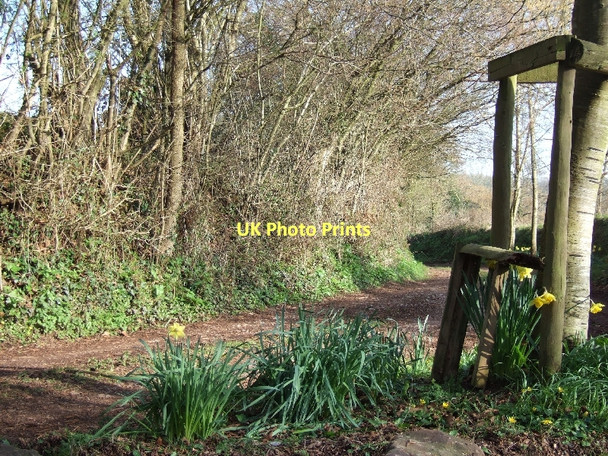 Photo 6"x4" The track to Flock Mill (a farm) Columbjohn c2011
