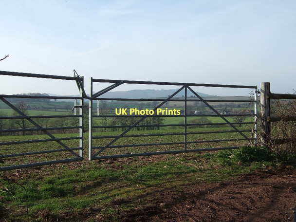 Photo 6"x4" Gates, a field and Dunsmore beyond Silverton\/SS9502 c2011
