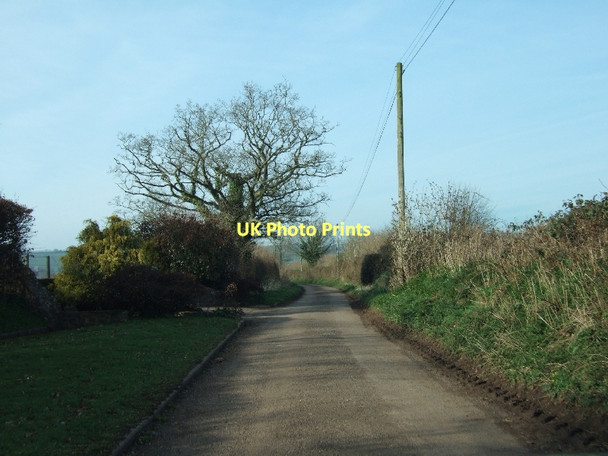 Photo 6"x4" Minor road passing the east of Singleton Park Ellerhayes c2011