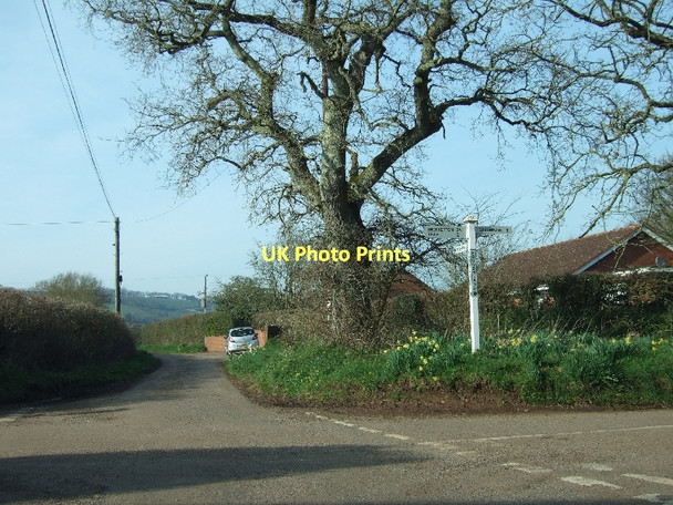 Photo 6"x4" Poundsland Cross and Poundsland Cottages Silverton\/SS9502 c2011