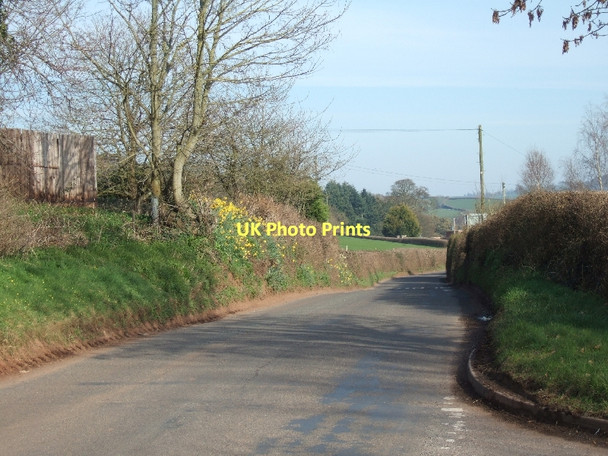 Photo 6"x4" Road to Ellerhayes from Red Cross Ellerhayes c2011