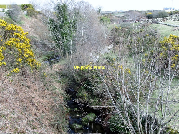Photo 6"x4" The Cross Water River above Carrigenagh Bridge Attical c2011