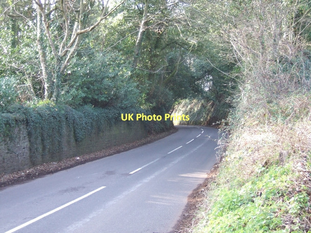 Photo 6"x4" Boundary walls of Silverton Park Ellerhayes c2011