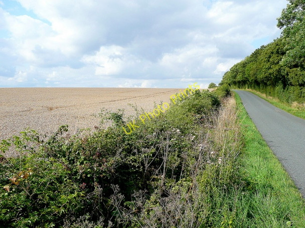 Photo 6"x4" Lane to Adlestrop and Evenlode Lower Oddington c2009