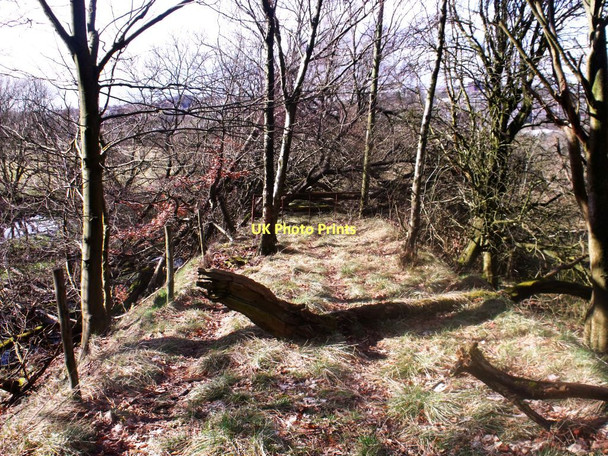 Photo 6"x4" Glencryan tram road Cumbernauld c2011