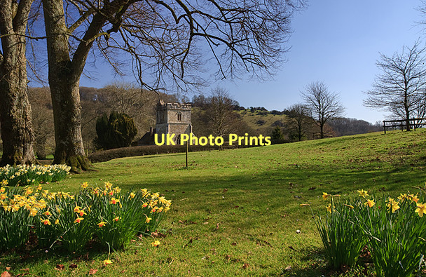 Photo 6"x4" St Andrew's church Melcombe Horsey Aller\/ST7602 c2011