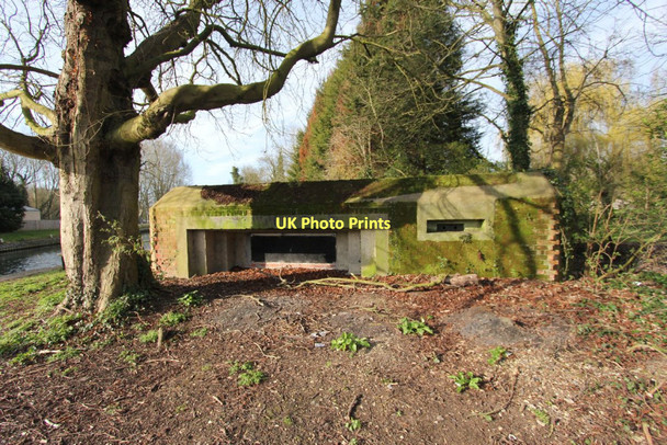 Photo 6"x4" Tree and Pillbox Ufton Green c2011