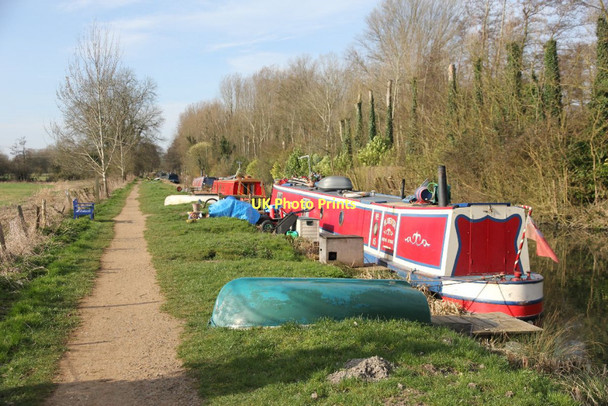 Photo 6"x4" Moored along the bank Ufton Green c2011