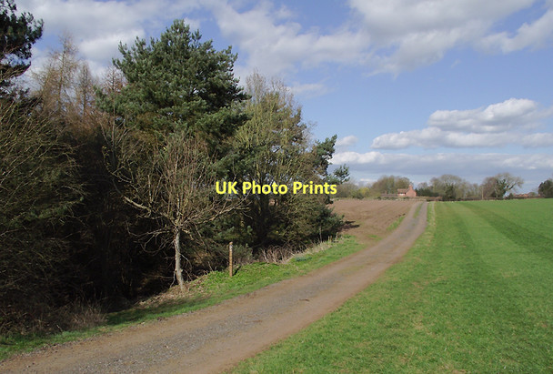 Photo 6"x4" Bridleway to Beckbury, Shropshire Beckbury\/SJ7601 c2011 P1