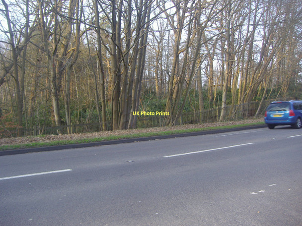 Photo 6"x4" A30 verge, Wentworth Shrubs Hill c2011