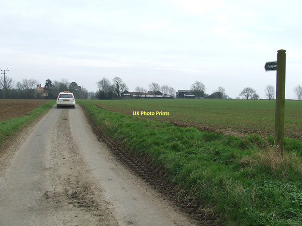 Photo 6"x4" To Palmers Farm Great Green\/TL9155 c2011