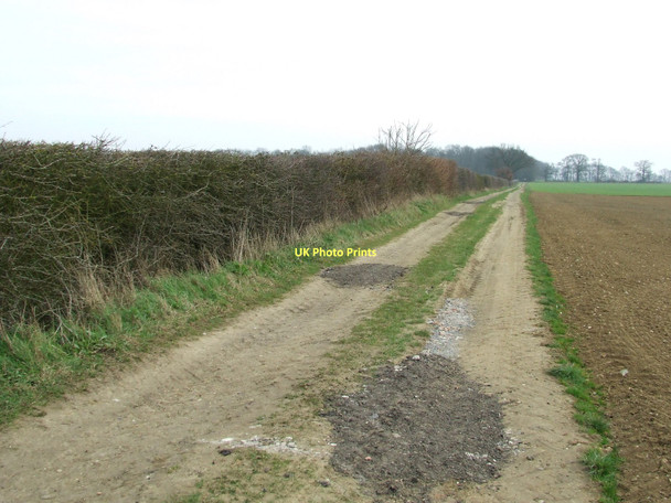 Photo 6"x4" To Bulls Wood Button's Green c2011