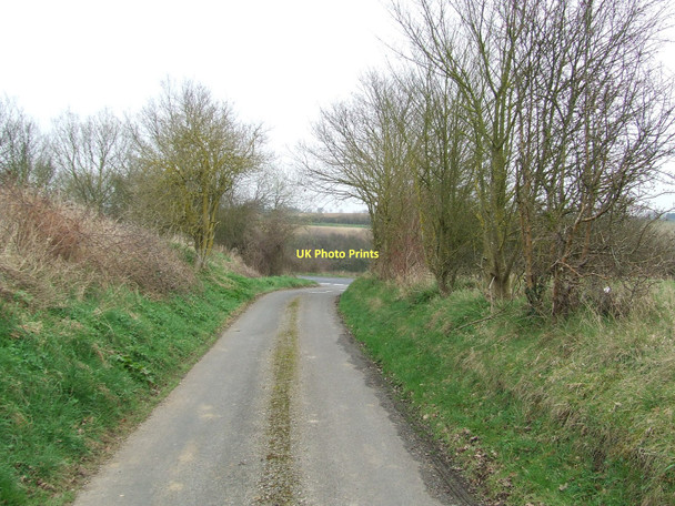 Photo 6"x4" Gallows Lane Button's Green c2011