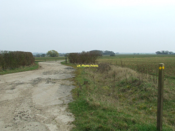 Photo 6"x4" A Small Part Smithwood Green c2011