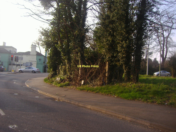 Photo 6"x4" Trees by B389, Virginia Water Trumps Green c2011