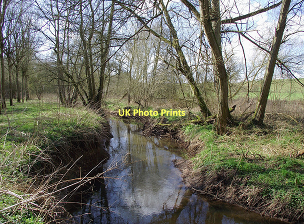 Photo 6"x4" River Worfe south-west of Beckbury, Shropshire Badger c2011