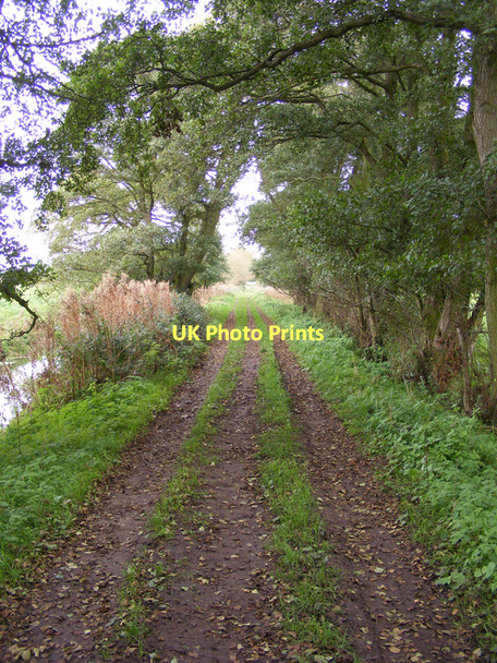 Photo 6"x4" Farm track and footpath towards Earsham Dam Bungay c2010