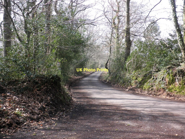 Photo 6"x4" Turning for Water Bridge Crowcombe c2011