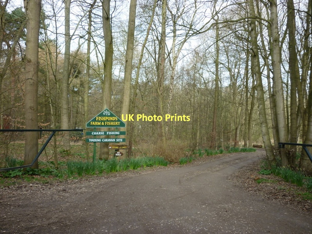 Photo 6"x4" The entrance to Fishponds Farm & Fishery Boynton c2011