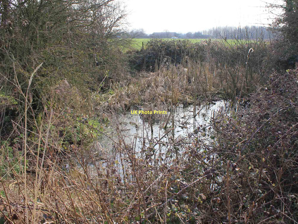 Photo 6"x4" Pond by footpath to Harbury Gross Green c2011