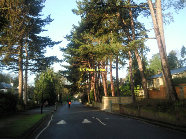 Photo 6"x4" The lower part of Camden Park Road, Chislehurst Chislehurst c2011