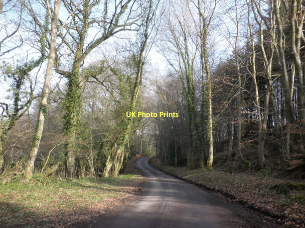 Photo 6"x4" Lane to Crowcombe Heathfield Lower Vexford c2011