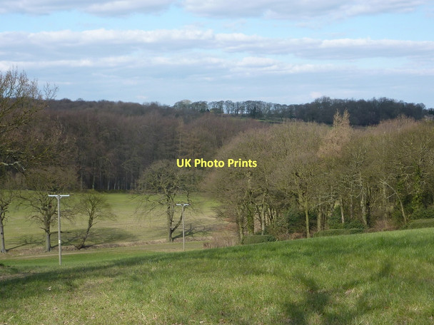 Photo 6"x4" Grassland and woodland Cutthorpe c2011