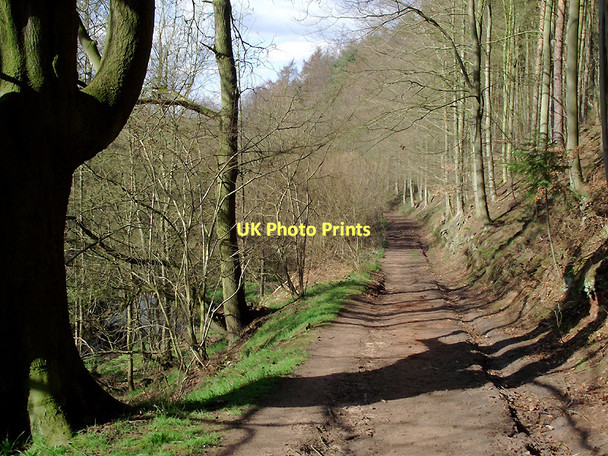 Photo 6"x4" Bridleway near Badger, Shropshire Badger c2011 P1