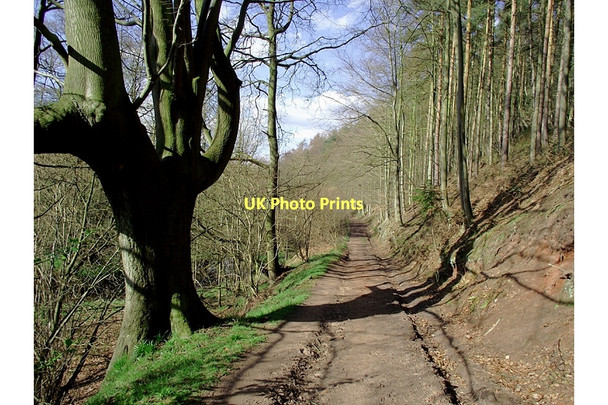 Photo 6"x4" Bridleway near Badger, Shropshire Badger c2011 P2
