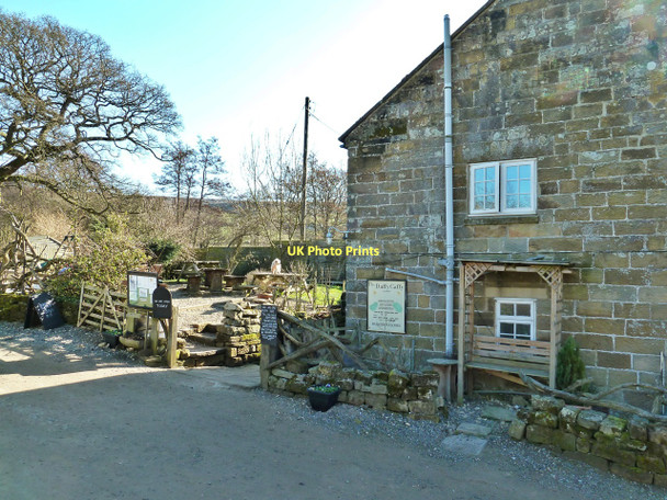 Photo 6"x4" The Daffy Cafe, Church Houses, Farndale Church Houses c2011