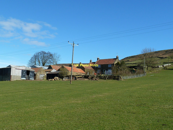 Photo 6"x4" Bitchagreen Farm, Farndale Low Mill\/SE6795 c2011
