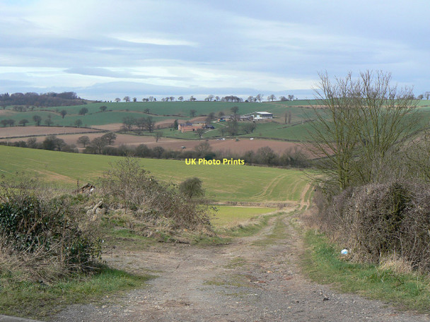 Photo 6"x4" Farm track off Bank Hill Arnold\/SK5945 c2011