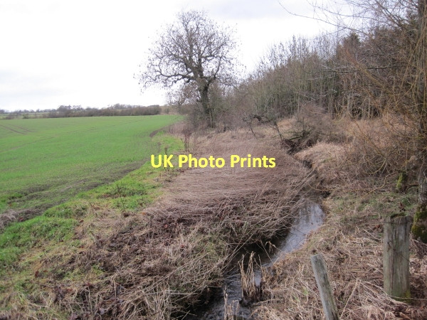 Photo 6"x4" Coldcoats Burn near Brick Kiln Wood Milbourne\/NZ1175 c2011