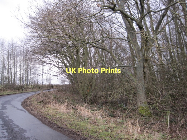 Photo 6"x4" Brick Kiln Wood Milbourne\/NZ1175 c2011