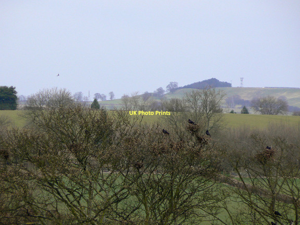 Photo 6"x4" Rookery at Woodborough Woodborough\/SK6347 c2011